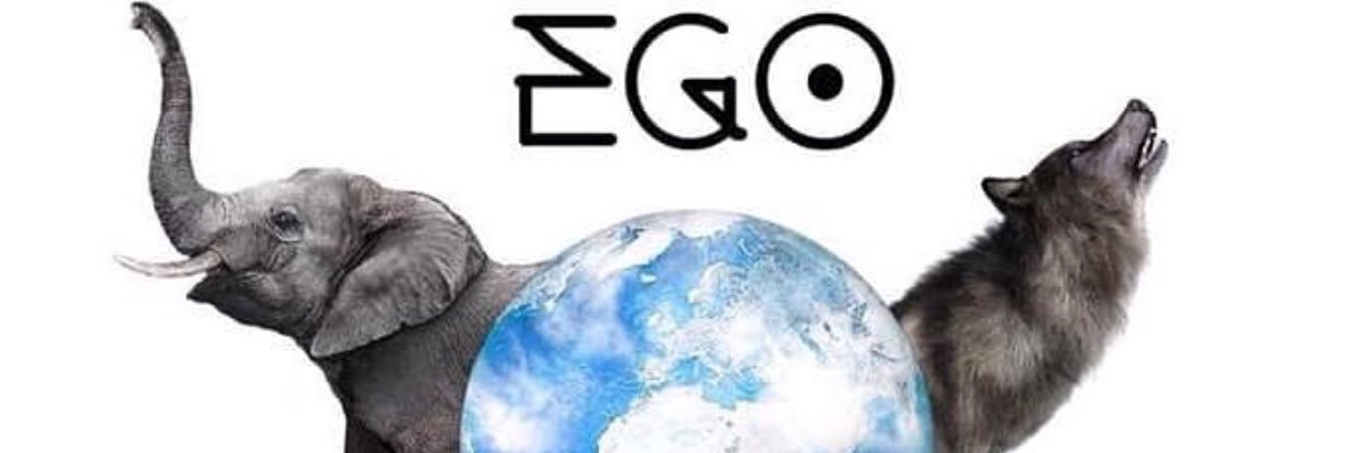 Pesos765's profile banner image