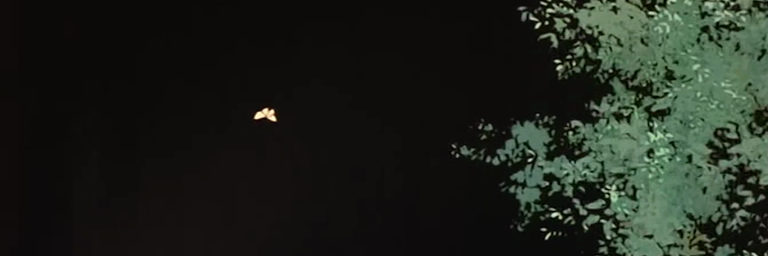 asmadipus's profile banner image