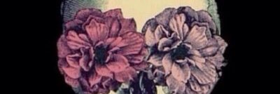 The1bdr's profile banner image