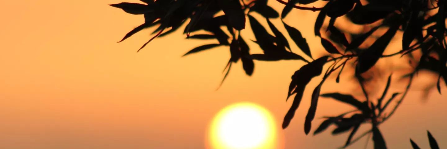 adree_nr's profile banner image