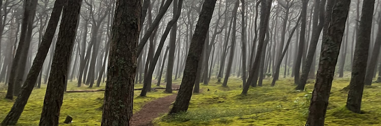makslaks's profile banner image