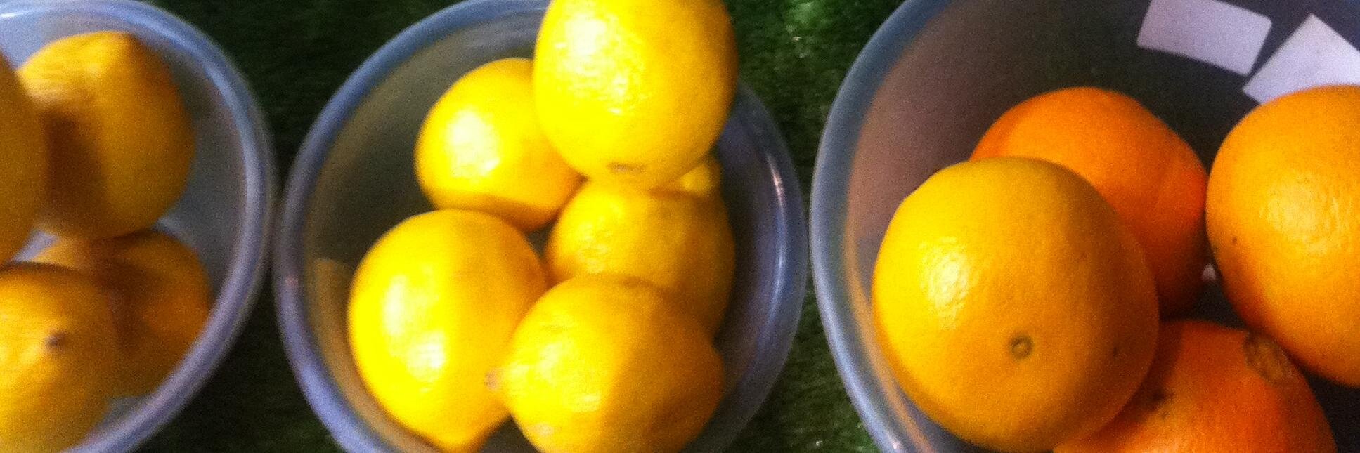 forty elephants mob banner