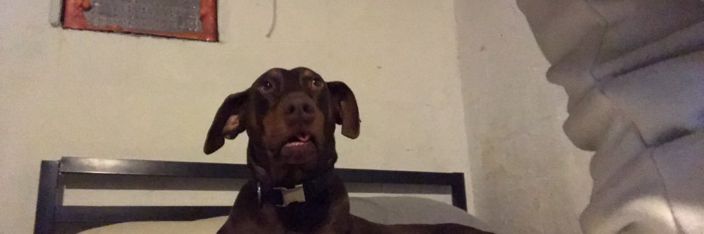gabeperez_2's profile banner image