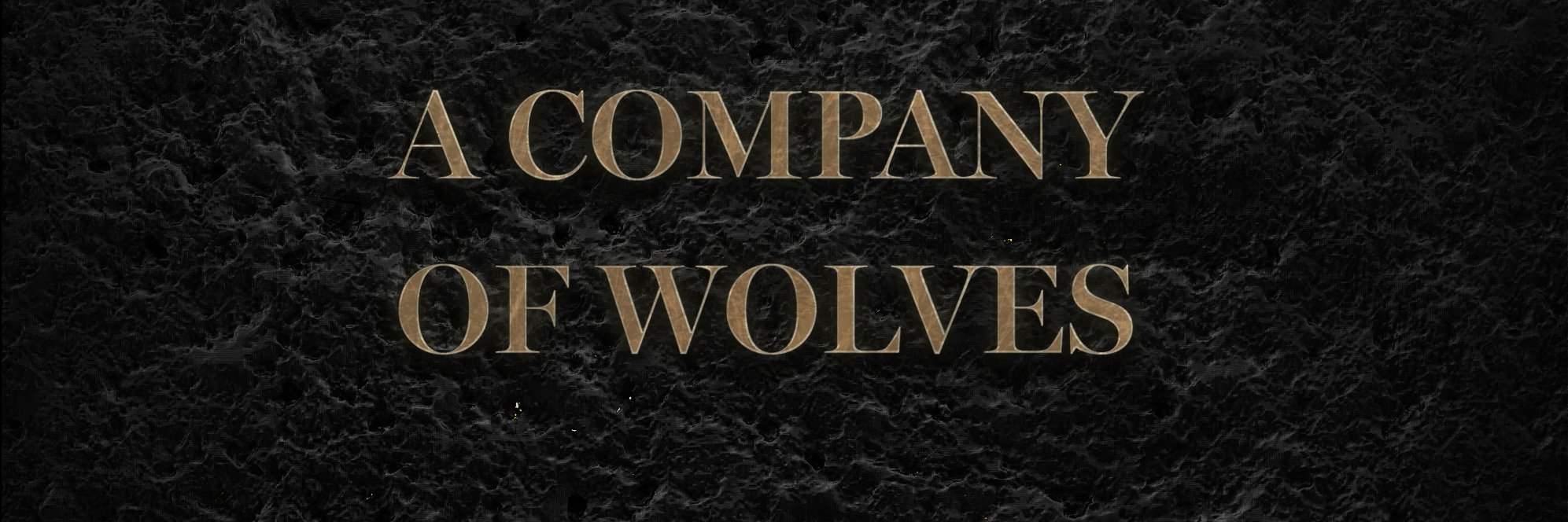 ofWLVS's profile banner image