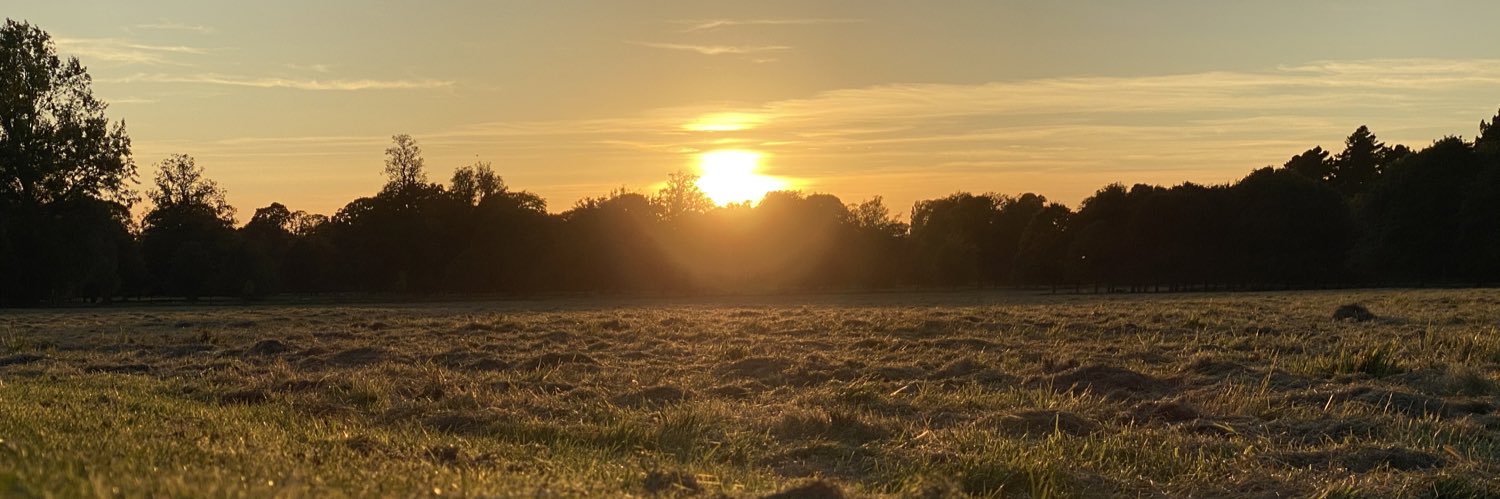 Guilherme Zogbi banner