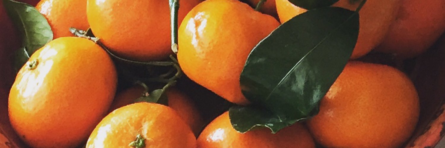 Hannah Ayoubi banner