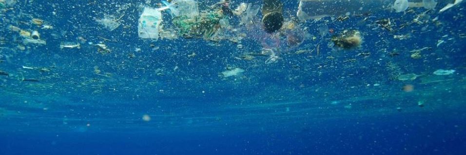 REAL OCEAN CLEAN UP banner