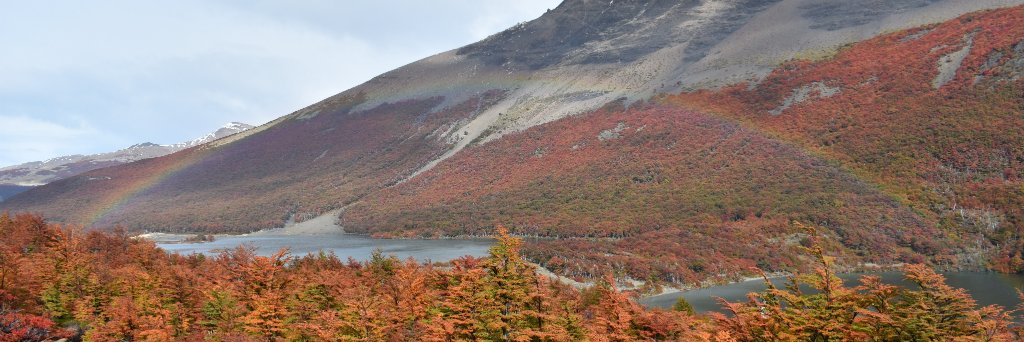 Andrés César banner