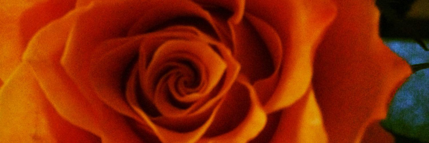 LilLay16's profile banner image