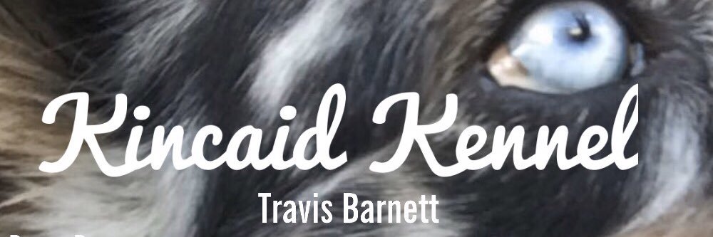 TravisBarnett's profile banner image