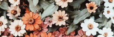 keenzerann's profile banner image