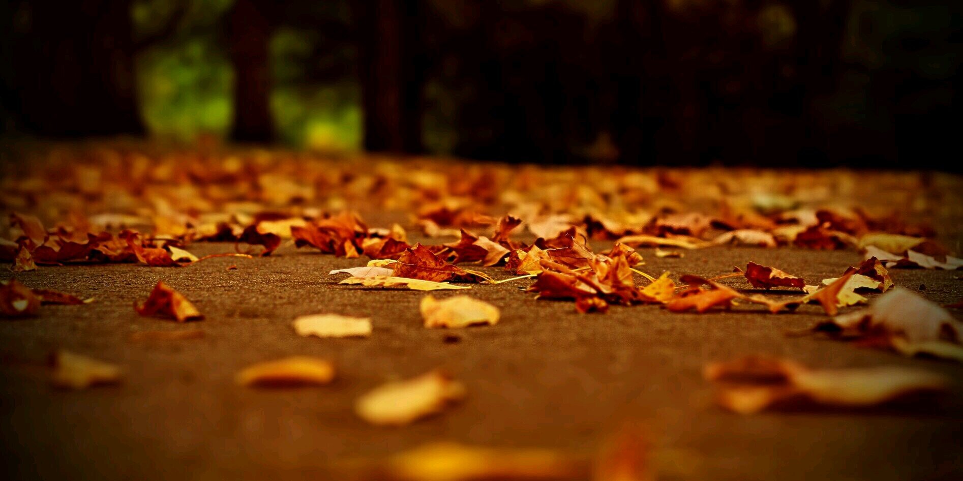 nnv_mo's profile banner image
