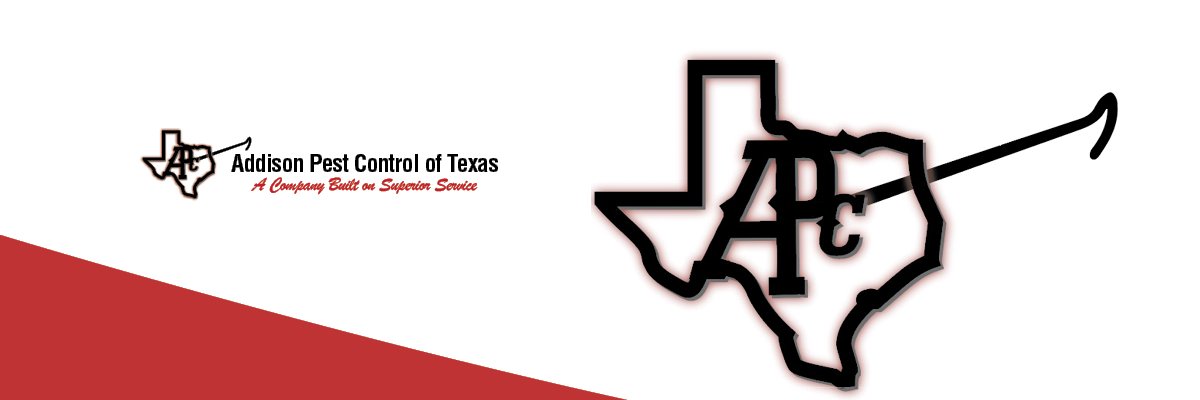 AddisonPest's profile banner image