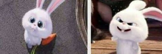 LaurisGuzman1's profile banner image