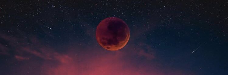 chipoltgel's profile banner image