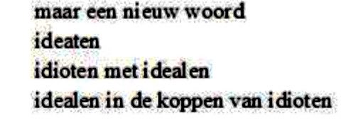 Elsa op 't Holt banner