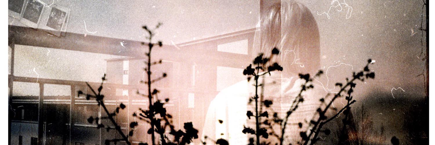 LouiseGreaney's profile banner image