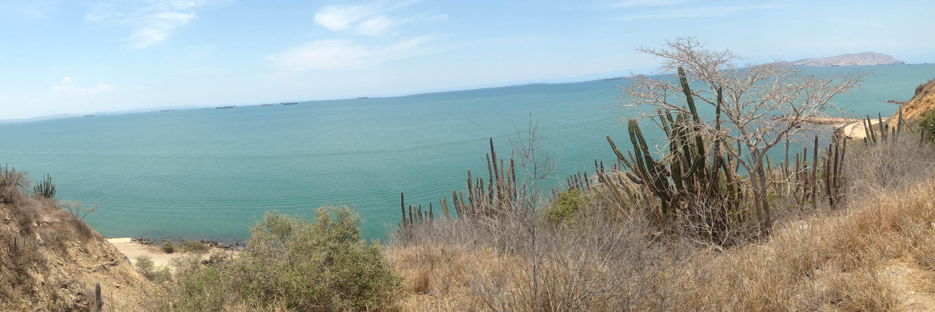 sarahmto's profile banner image