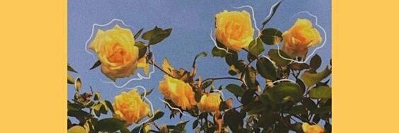 sufiahmdyusof's profile banner image