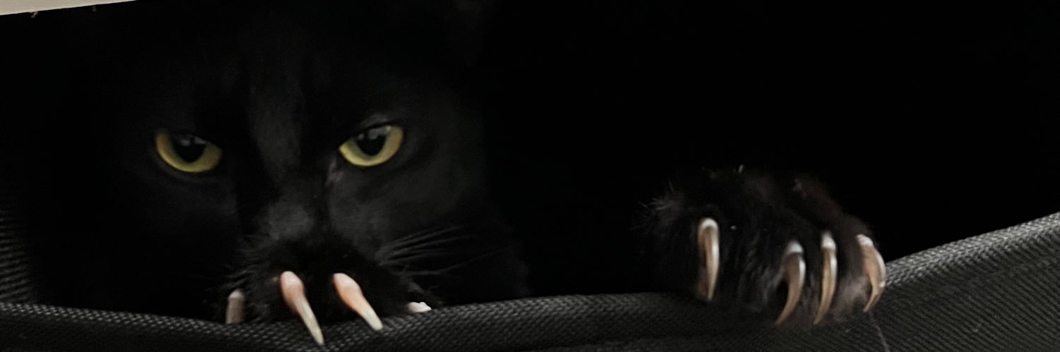 _JE5S's profile banner image