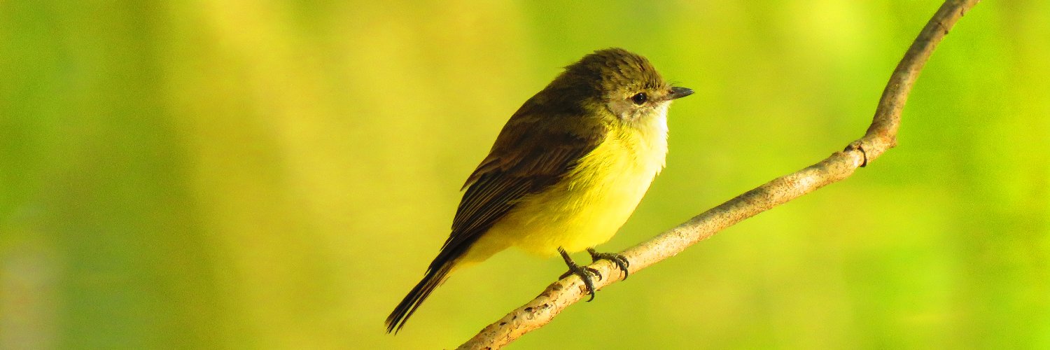 Digby’s mum banner