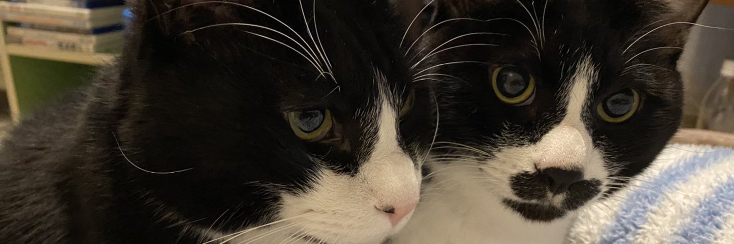 pporiqq's profile banner image