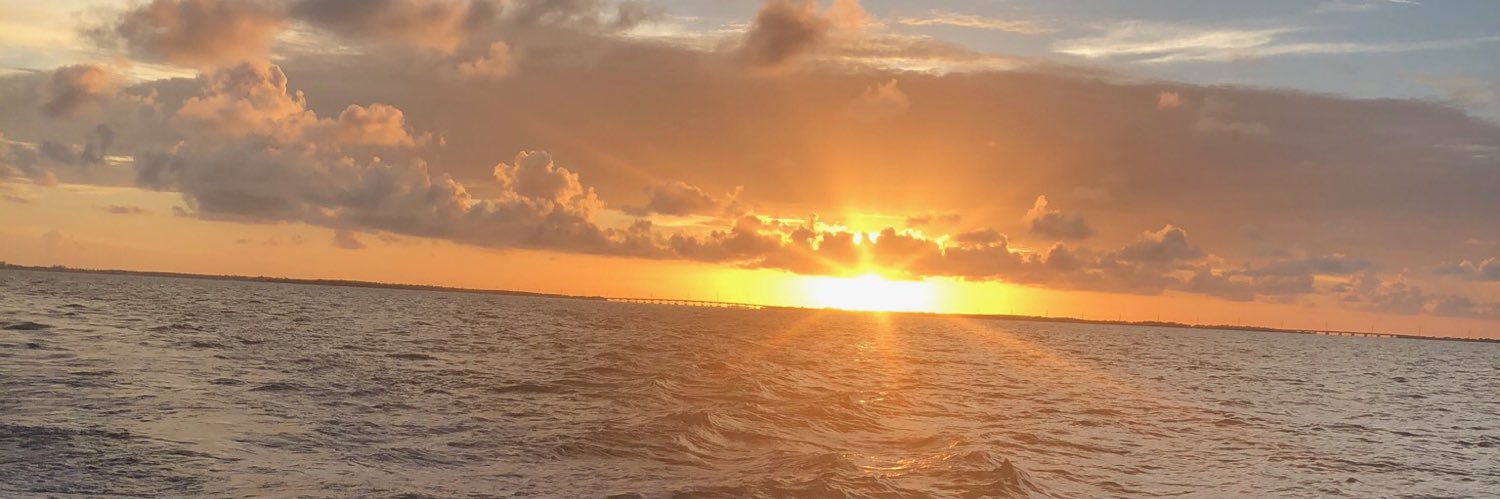 Linco_Mane's profile banner image