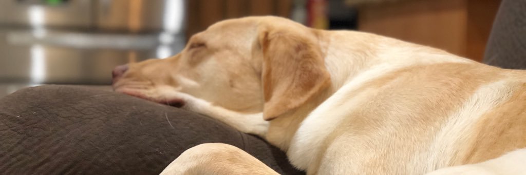 sunilraoin's profile banner image