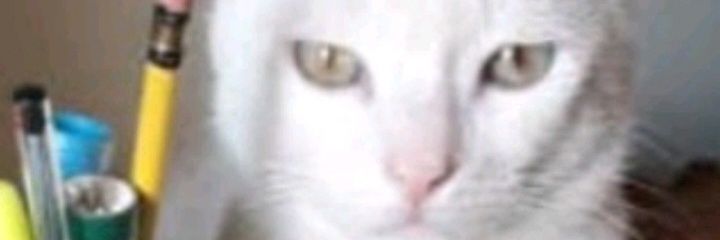 adelcyduran's profile banner image