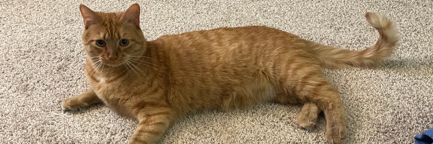 Stephanie Denise banner