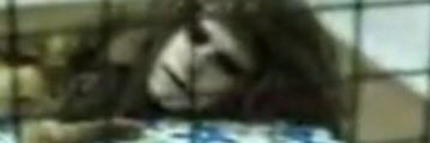 firdamiey's profile banner image