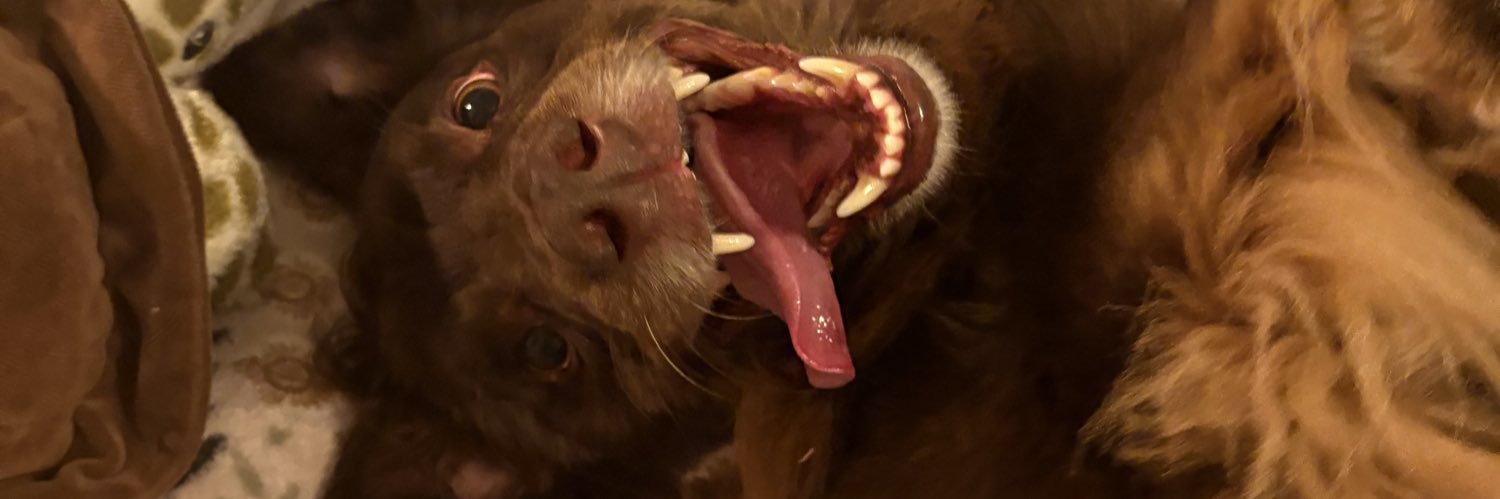 yeovjo's profile banner image