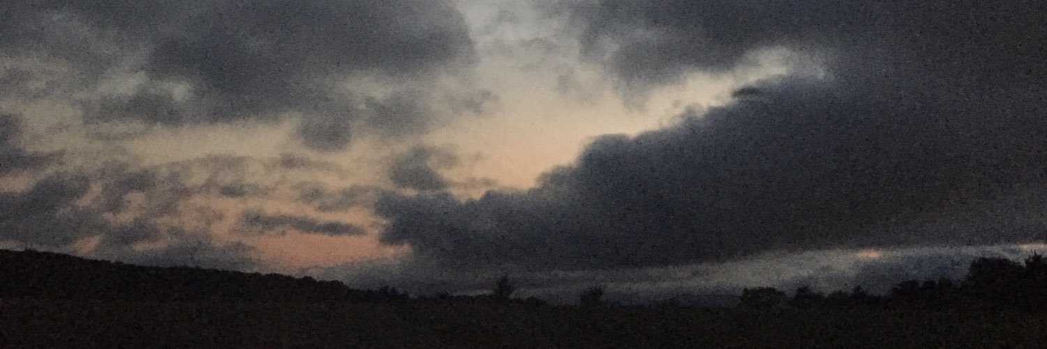 ElFlairChimi's profile banner image