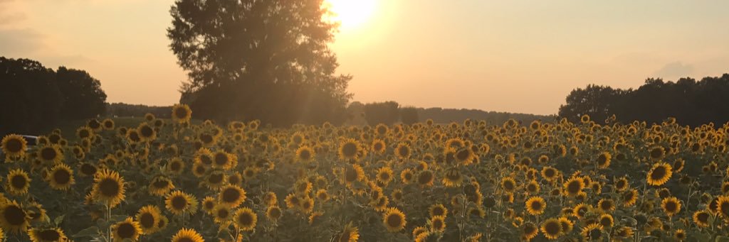 MorgannGriffin's profile banner image