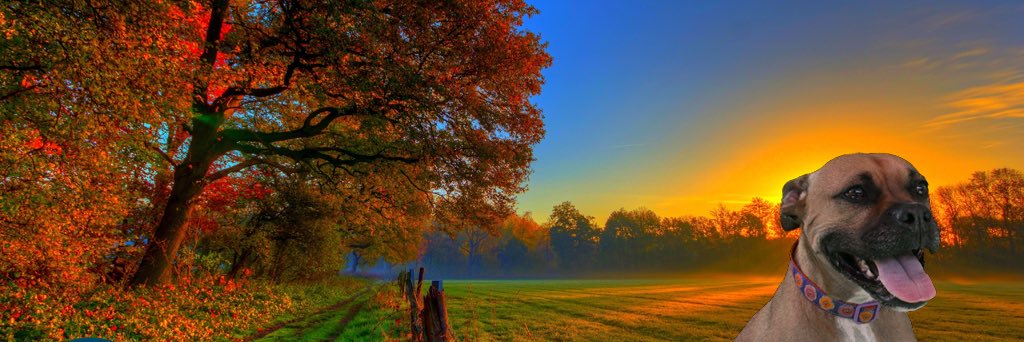 EmilyRickett8's profile banner image