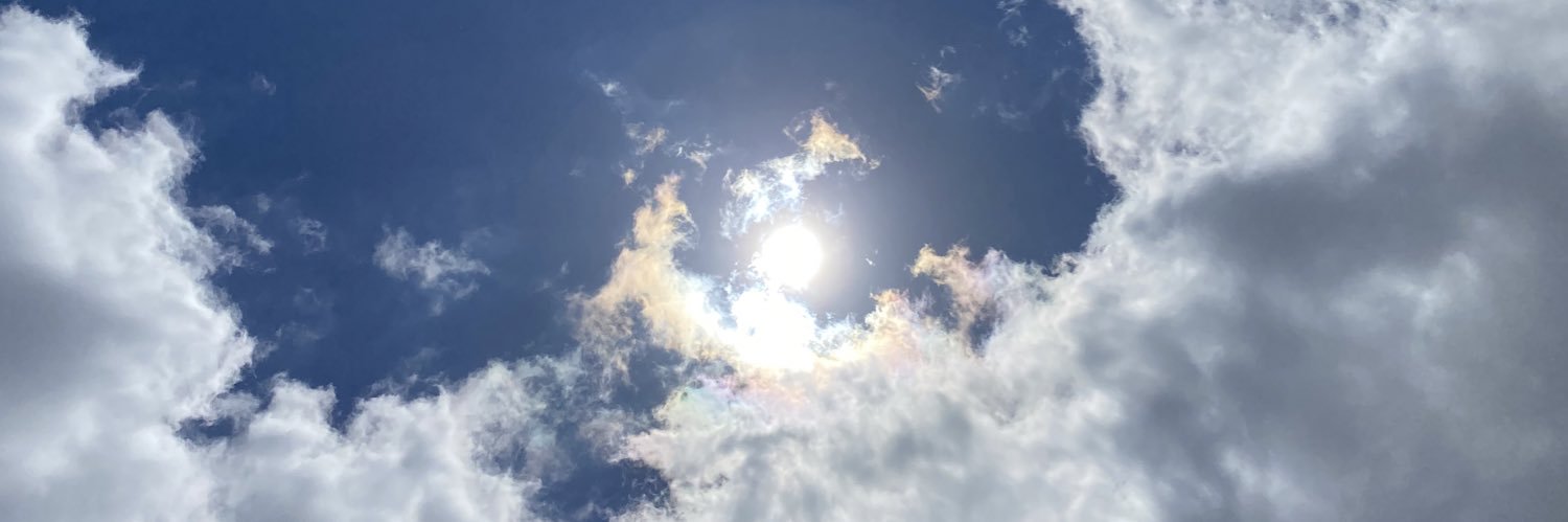 ellen_yaco's profile banner image