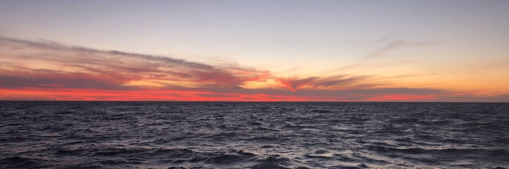 McKinseyMarlin's profile banner image