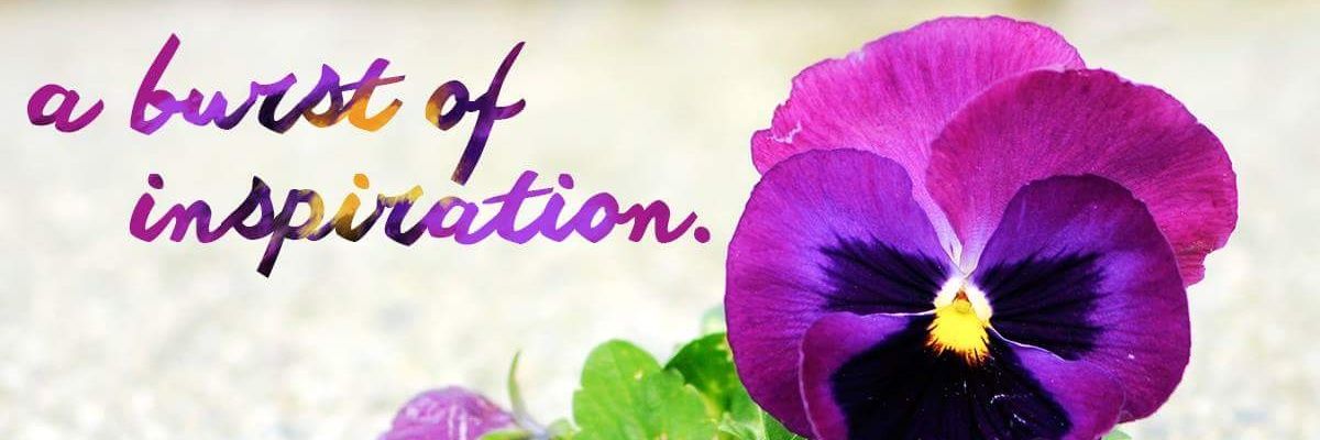 MsRobin369's profile banner image