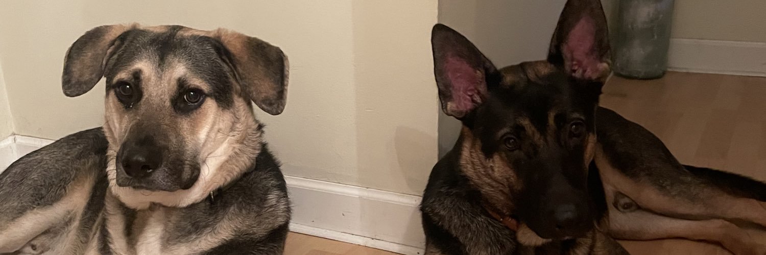 _morggannnn's profile banner image