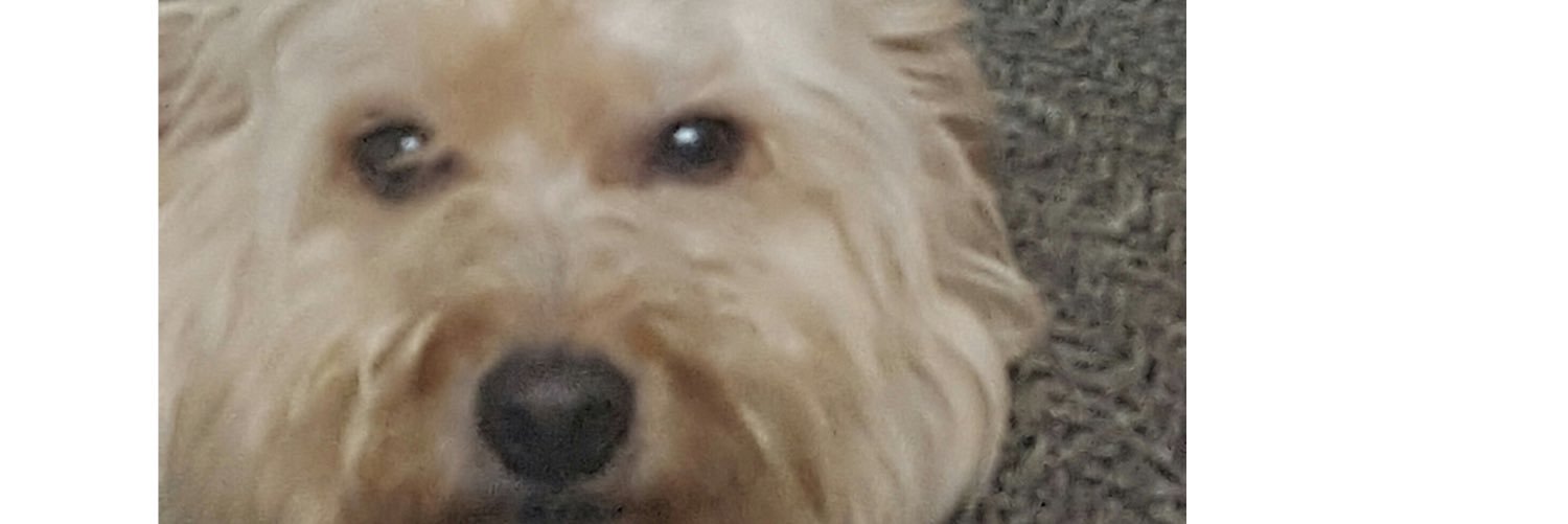Dubzz26's profile banner image