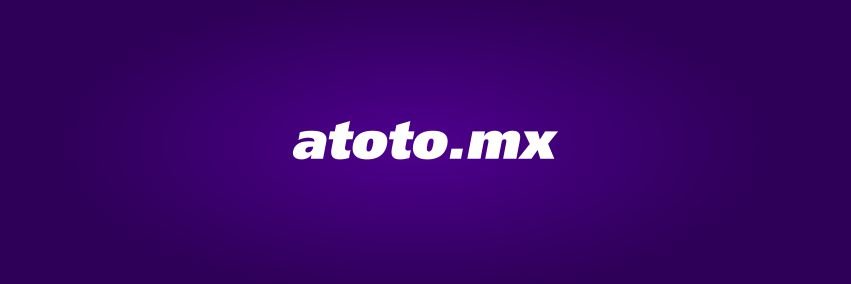Atotonilco el Alto banner
