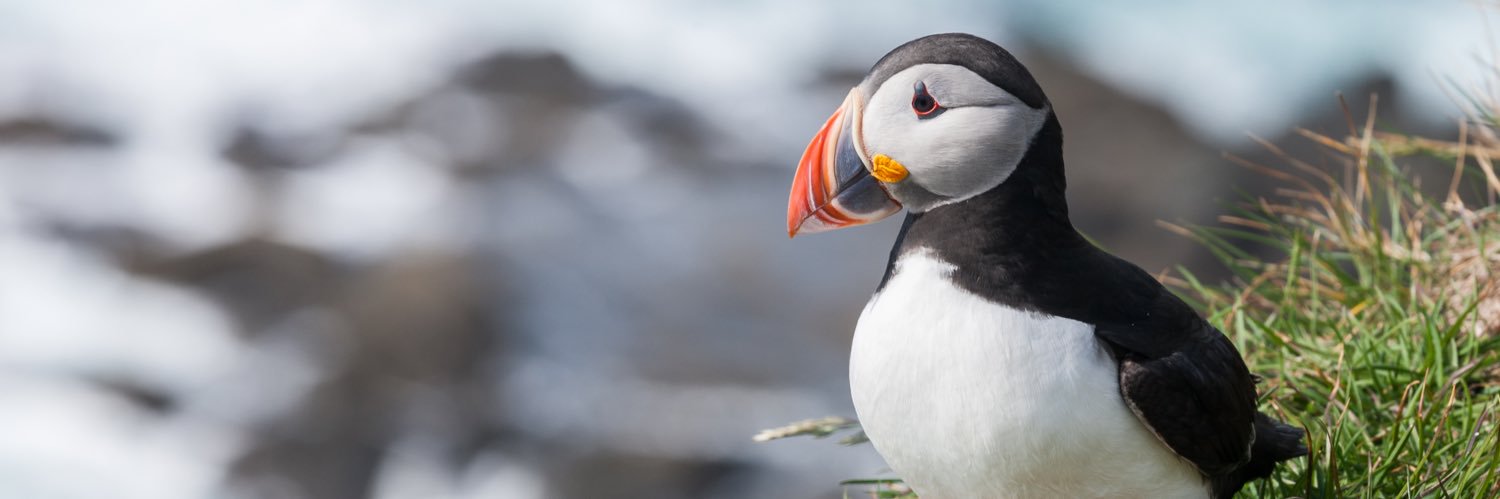 Oliver Kersten banner