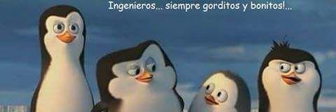 CalaReyes's profile banner image