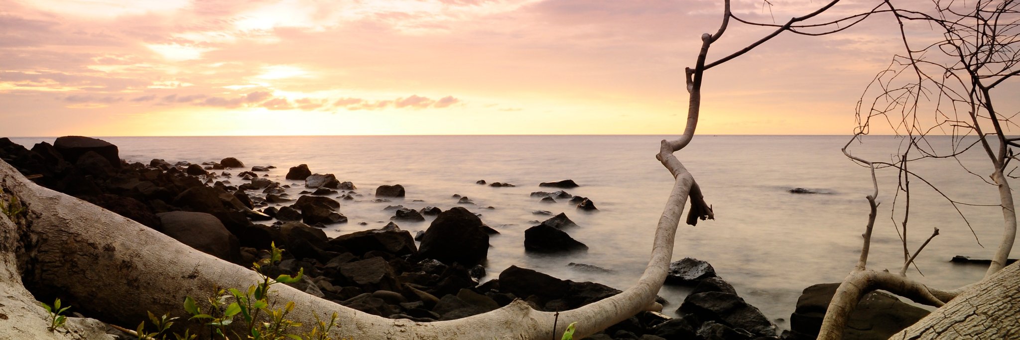 adhe_jazz's profile banner image