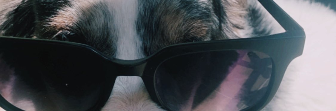 dra jonas banner