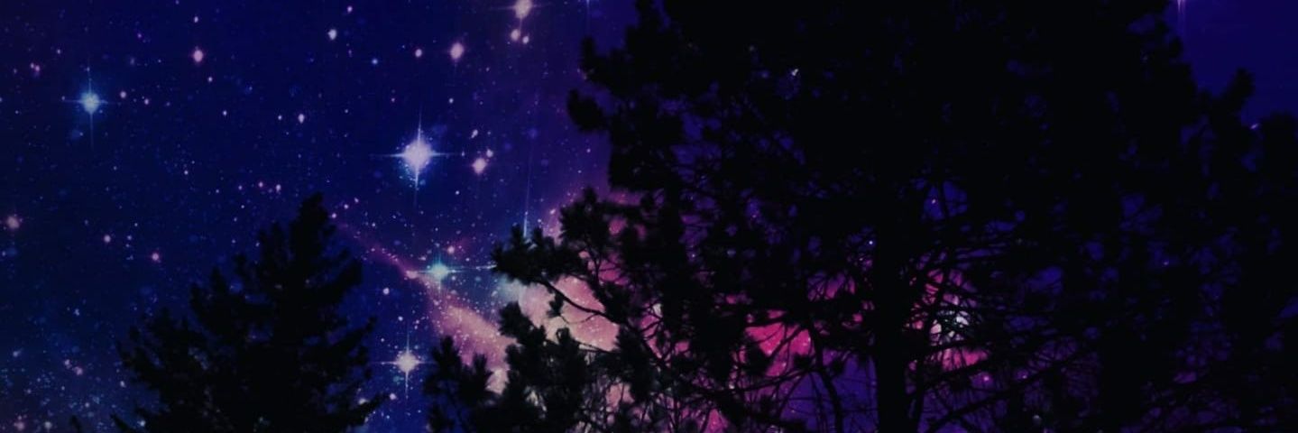 Virginia_Ervin's profile banner image
