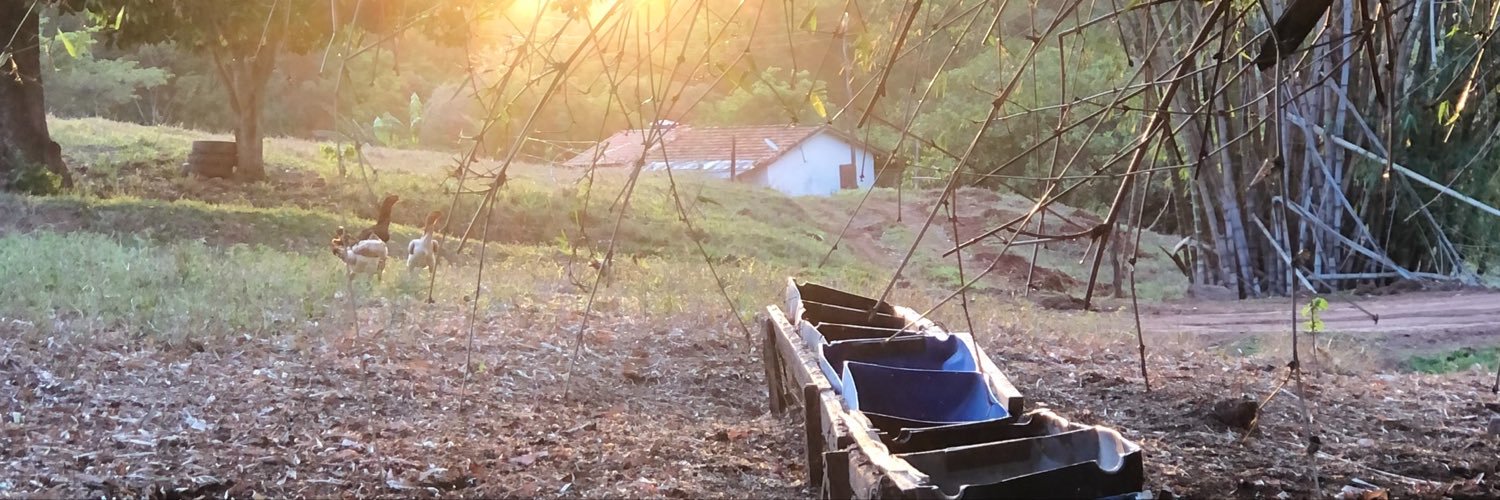 henriqueqt's profile banner image