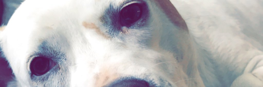 TaySlayB's profile banner image