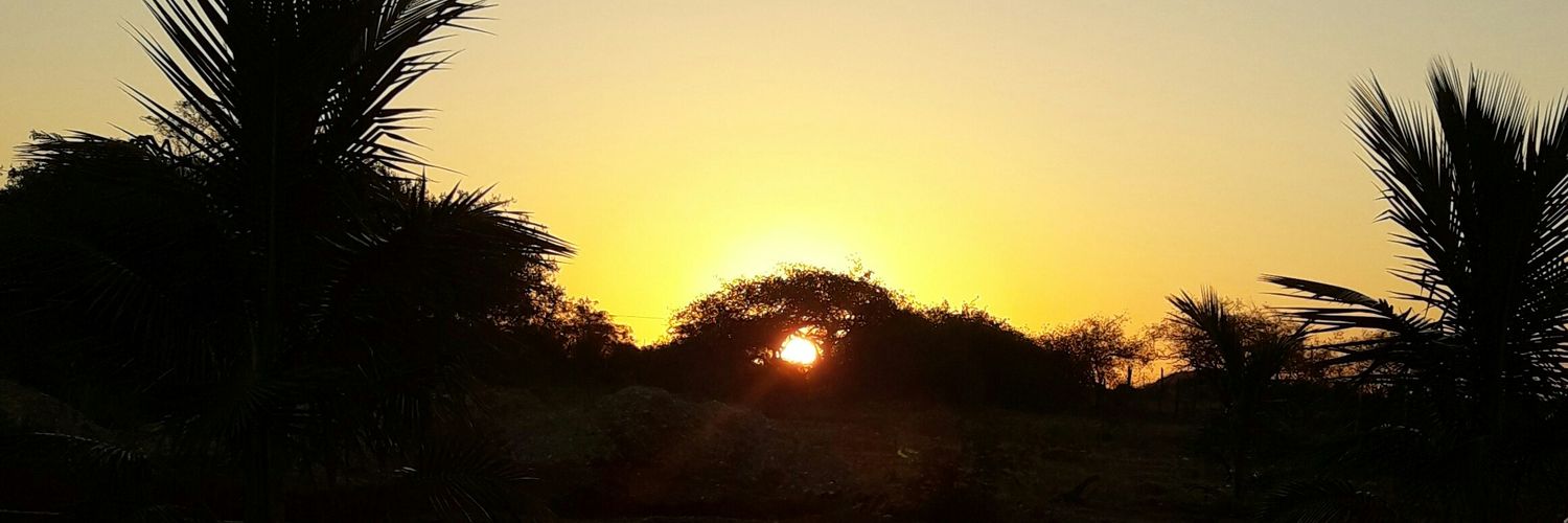 Preguiça Sintética 🇧🇷 banner