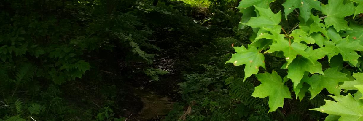 AnnaHopkins11's profile banner image